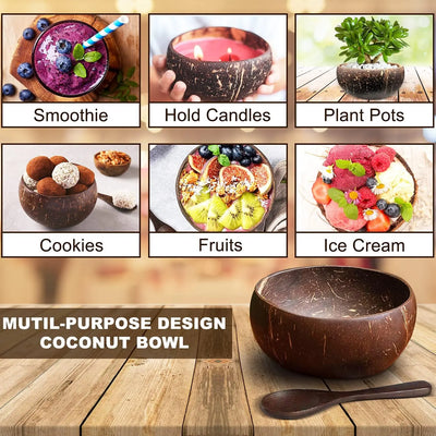 Coconut Shell Bowls - lafenora