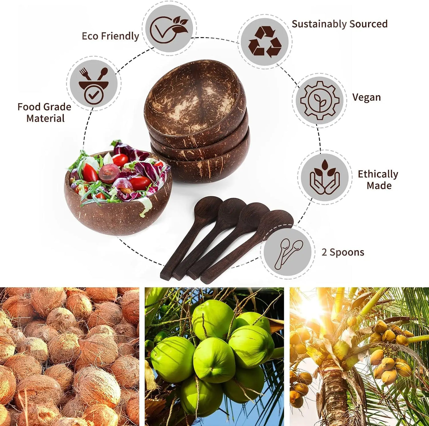 Coconut Shell Bowls - lafenora