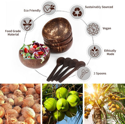 Coconut Shell Bowls - lafenora